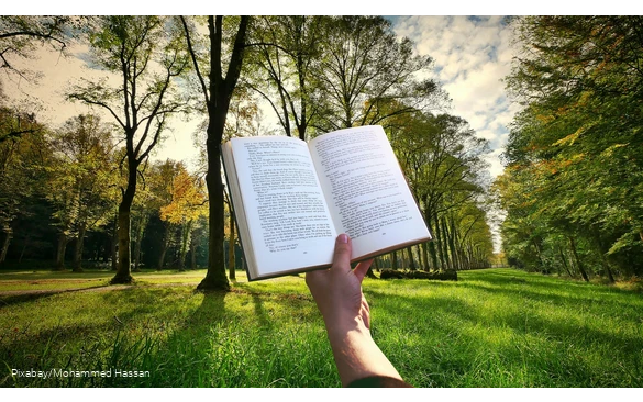Buch und Natur