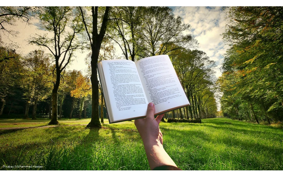 Buch und Natur