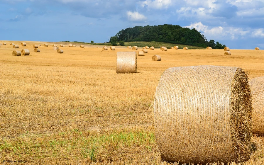 Stroh Rundballen Landleben